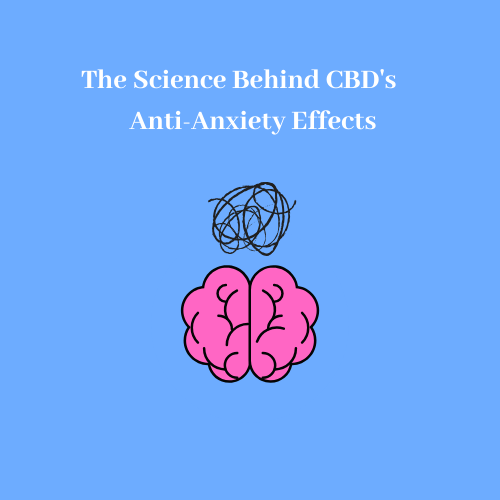 The Science Behind CBD's Anti-Anxiety Effects