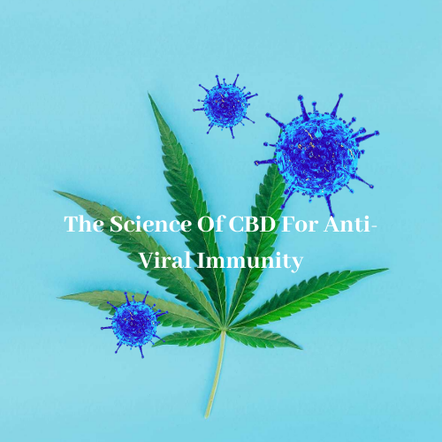 The Science of CBD for Anti-Viral Immunity
